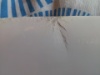 20180704 085913